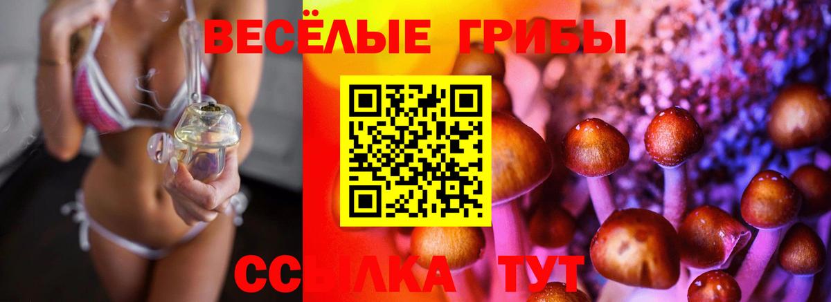 Галлюциногенные грибы Cubensis  Вход с VPN  Соликамск 
